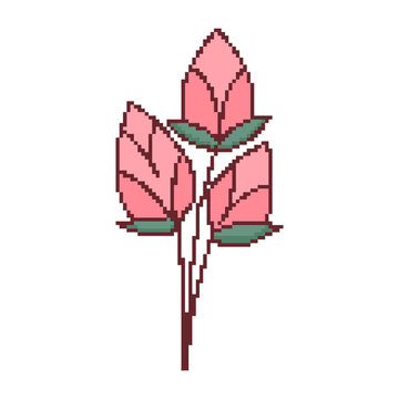 pixel art lotus flower pink buddhist temple offering plant icon