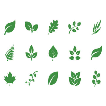 Collection of diverse green leaf vector icons designed with simple flat shapes for modern graphic projects