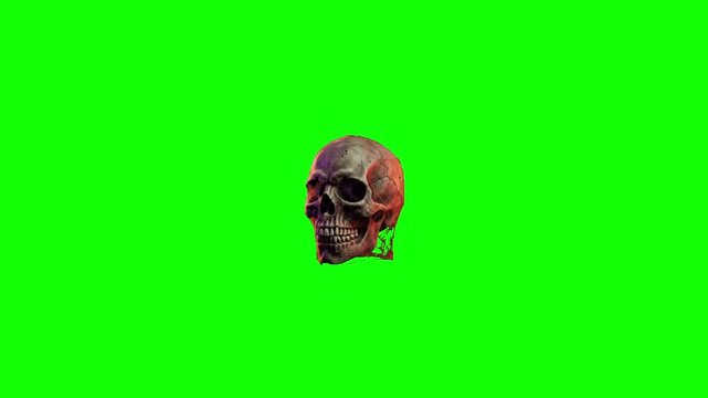 Halloween Skull Green Screen Realistic 3D Monster Head Spooky Video Overlay