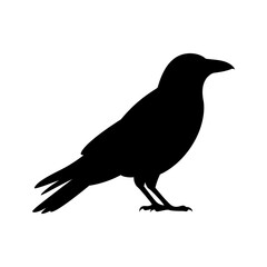 Fototapeta premium Black bird silhouettes set with standing and flying poses