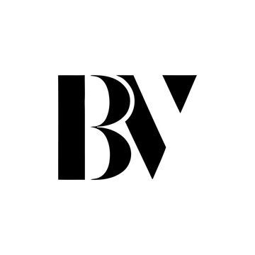 bv logo design 