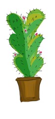 cactus in a pot © Fatema
