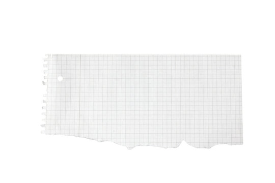 piece of white grid paper with torn edges isolated on transparent background for creative note taking or scrapbooking ideas