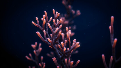 Fototapeta premium Close up of a vibrant red coral branch underwater with soft glowing tips against a dark deep blue ocean background, marine life