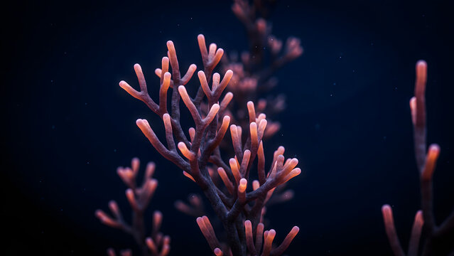 Close up of a vibrant red coral branch underwater with soft glowing tips against a dark deep blue ocean background, marine life