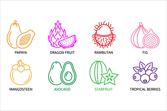 Colorful hand-drawn illustrations of tropical fruits and berries