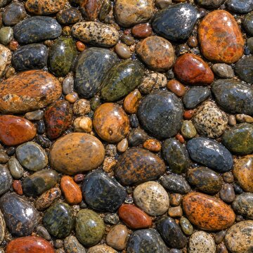 Wet multicolored pebbles
