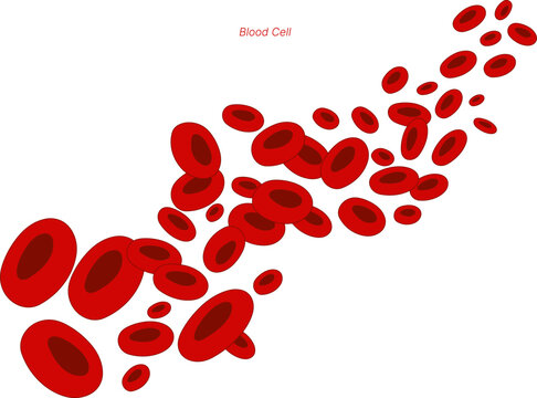 Red blood cells flowing in a biological circulatory stream represented as a scientific diagram illustration