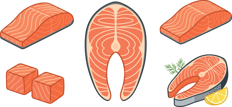 Fresh Salmon Fish Fillet Steak and Cubes Vector Set with Lemon and Dill for Seafood Menu Culinary Cooking and Restaurant Design