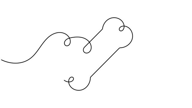 Modern dog bone icon sign continuous one line drawing on white background minimalist single art anatomy of pets and infographics symbol animation video