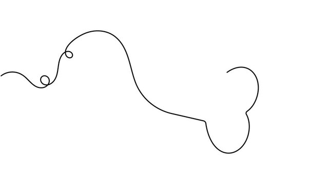 Modern dog bone icon sign continuous one line drawing on white background minimalist single art anatomy of pets and infographics symbol animation video