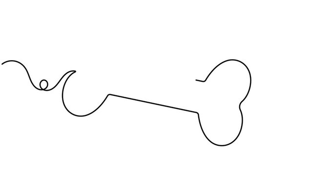 Modern dog bone icon sign continuous one line drawing on white background minimalist single art anatomy of pets and infographics symbol animation video