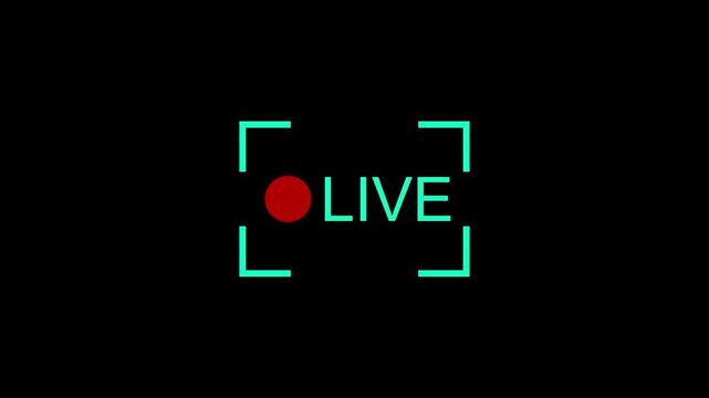 Digital live broadcast overlay with flashing recording indicator for streaming media