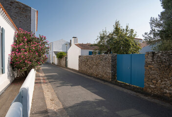 Ruelle pittoresque et maisons blanches traditionnelles aux volets colorés dans le village de Saint-Sauveur, Île d'Yeu, France. © skerdreux