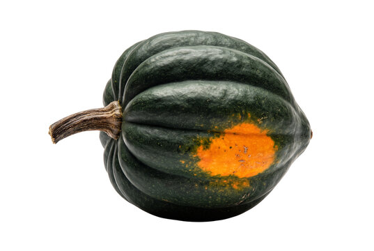 Fresh acorn squash, organic green winter squash, raw vegetable for autumn cooking isolated PNG with Transparent Background