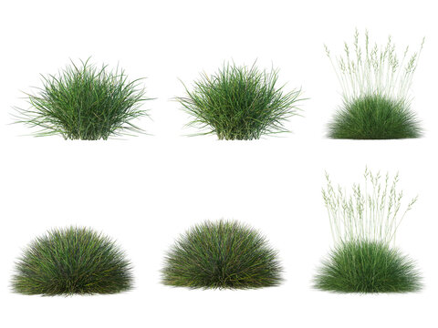 Set of low green grass clumps isolated on transparent background, realistic lush lawn bushes for landscape mockup.