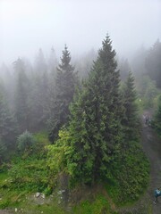Mgła w górach  © WalDec