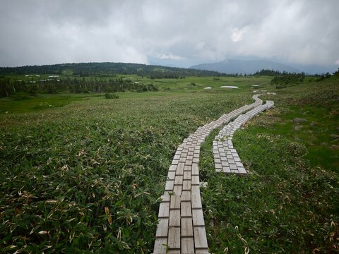 On the marshy mountain plateau, all the paths run along wooden boardwalks.