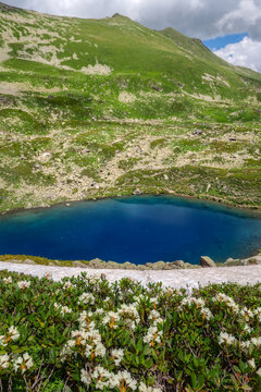 A high-mountain lake with rhododendrons blooming along its shores.