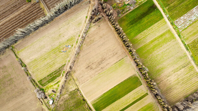 Patchwork of green alfalfa and fallow farmland in a Patagonian valley, Argentina.