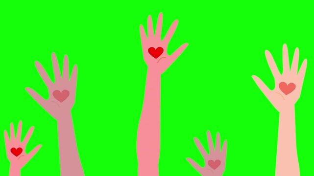 Raised hands with heart, up air. animation. Different skin, diverse human high  International person. Social move, voting.  Ethnic people together. Green screen back. Footage video