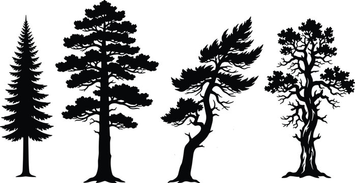 Black and white vector silhouettes of various forest pine and deciduous trees isolated on white