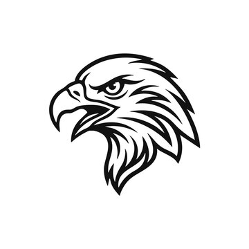eagle head vector