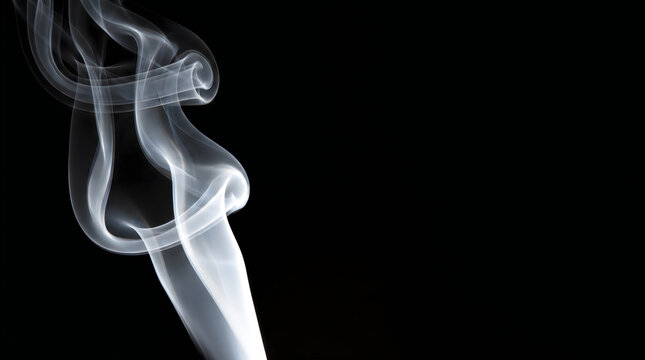 Abstract white smoke swirls rising up gracefully on a deep dark black background texture