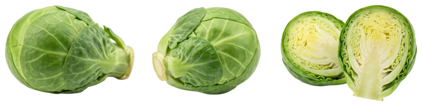 Green cabbage heads and halves on transparent background