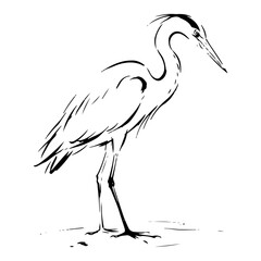Fototapeta premium Heron bird standing by water shore in minimalist ink sketch style