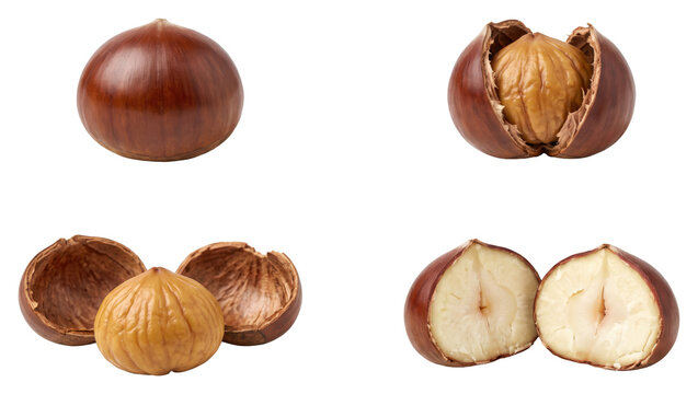 Hazelnut whole shelled and cut views on transparent background