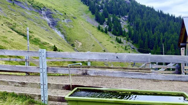 Rustic Wooden Fence and Water Trough on Alpine Mountain Pasture with Traditional Farmhouse, Authentic Rural Landscape for Countryside Travel and Slow Living Content