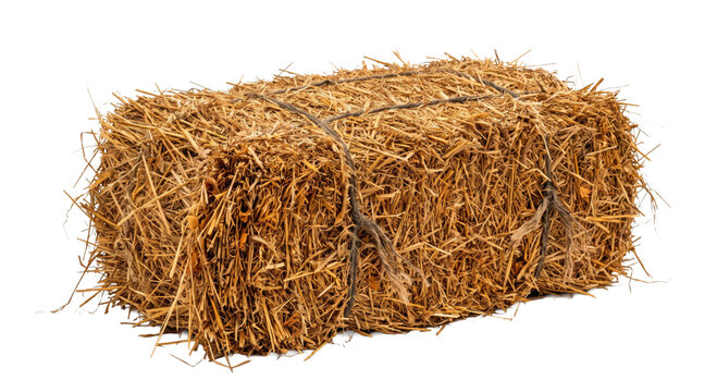 Rectangular bale of dried golden straw tied with rustic twine isolated on white background