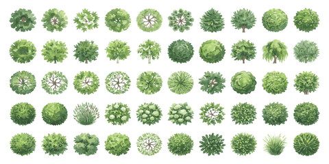 Obraz premium Set of various green trees seen from above for architectural landscape design and garden planning projects