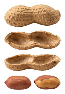 Peanut shells and kernels on transparent background