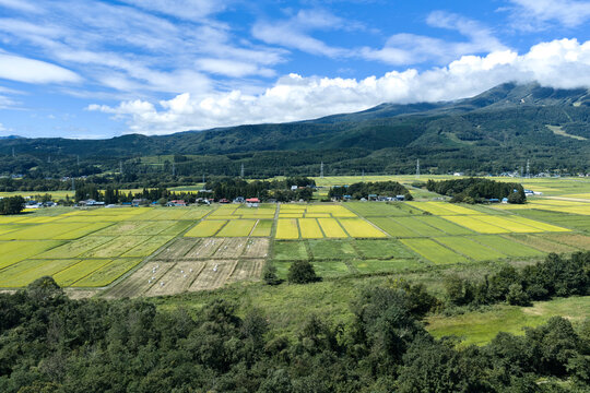 Aerial View of Rice Fields and Mountain Landscape in Rural Japan