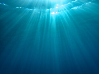 Obraz premium sea, underwater, sunlight, water, background, ocean, under, wave, blue, deep, undersea, light, rays, diving, marine, sun, abstract, surface, clean, texture, sunbeam, dark, clear, nature, aquatic sea.