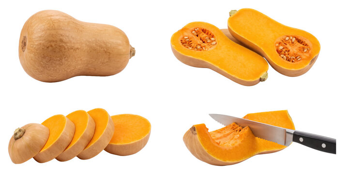 Butternut squash whole cut and sliced on transparent background