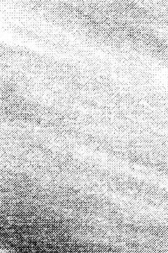 Soft horizontal tonal bands create a faded monochrome printed texture.
