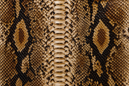 Realistic Python Snake Skin Texture with Golden Brown Black and Beige Diamond Scale Pattern, Exotic Reptile Leather Background Close Up