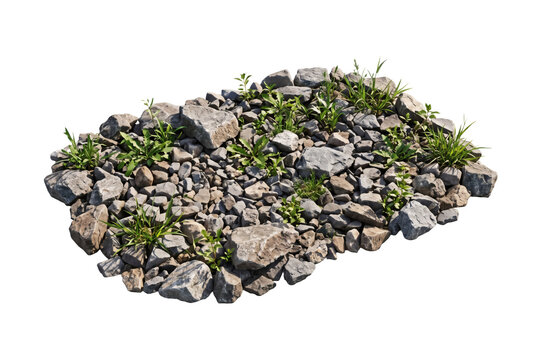 Flat patch of scattered smooth river stones, grey gravel pebbles and emerging green weed sprouts. Natural garden ground landscaping pavement element on pure white background template display.