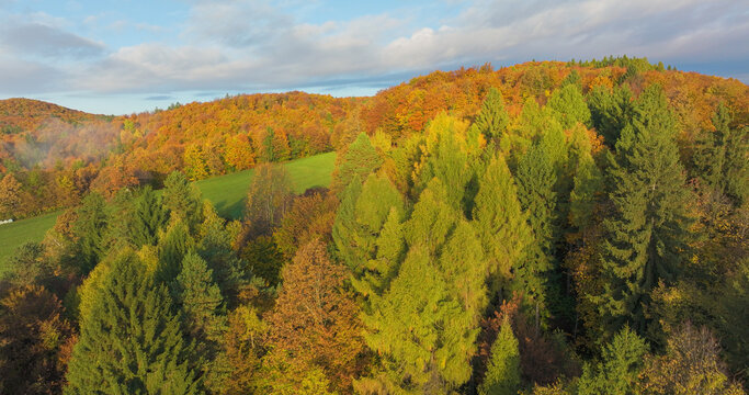 AERIAL: Conifers and warm autumn woodland surround a bright green meadow in the hilly countryside. Soft morning light and distant wisps of mist give the colourful hills a calm seasonal atmosphere.