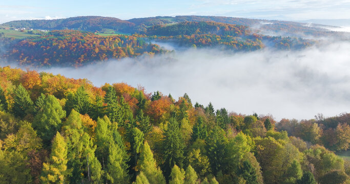 AERIAL: Broad blanket of white morning fog fills the valley between rolling autumn hills. Colourful forests rise above the mist in a tranquil rural landscape of Slovenia. Atmospheric mornings in fall.