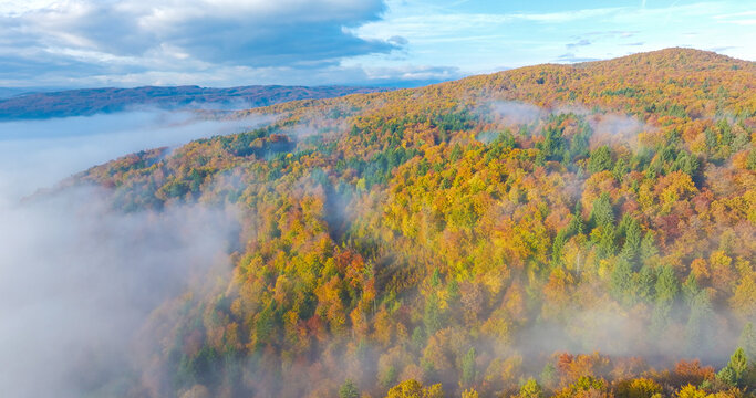 AERIAL: Wisps of morning mist weave through vast autumn forest covering rolling hills. Golden, orange and green treetops stretch toward distant ridges. Calm and richly layered seasonal landscape.