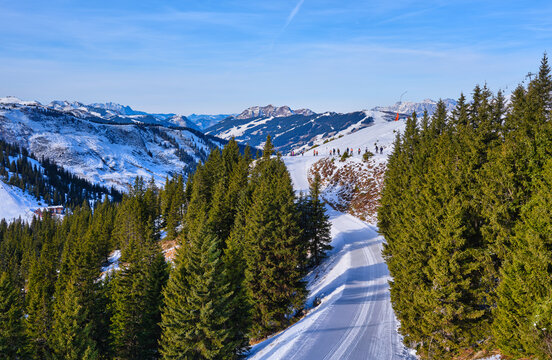 spruce-forest-ski-slopes-zell-am-see