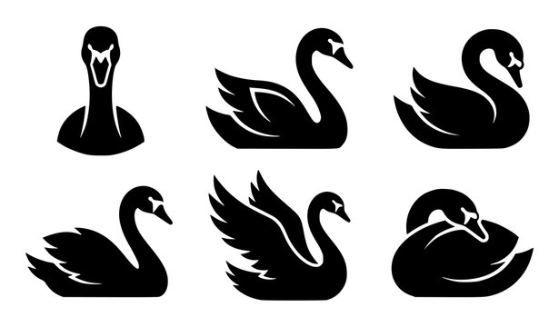 Black swan silhouette icon set simplified swimming flying and resting poses vector illustration bird design