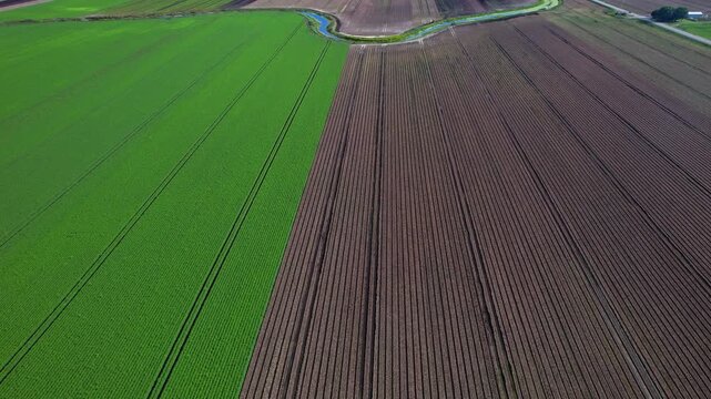 Aerial view of agricultural farms and crops fields. Agricultural landscapes from above. Soil with planted vegetables. Planting rows of crops for harvesting. Designated Specialty Crop Area.