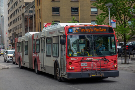 Ottawa, Ontario, Canada. September 18, 2026. An OC Transpo articulated public bus driving on a downtown city street during daytime.