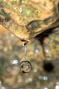 goutte d'eau