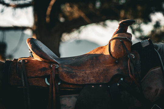 closeup of leather western saddle on horse